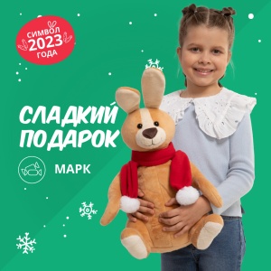 Сладкий подарок для ребенка «Марк»